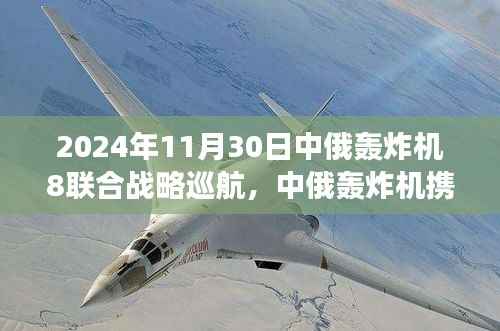 公司概况 第509页