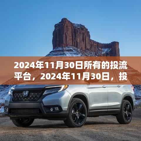 回顾与展望,2024年11月30日投流平台的繁荣及其影响深度解析