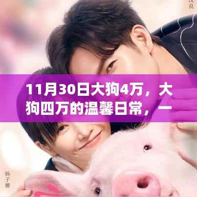 大狗四万,意外友情之旅的温馨日常