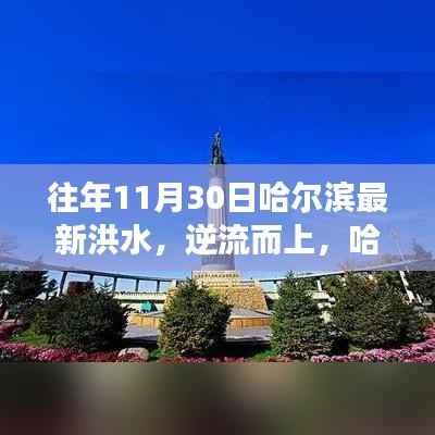 哈尔滨洪水背后的力量与智慧,逆流而上,展现变化中的自信与希望