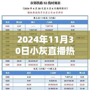 揭秘,2024年11月30日小灰直播三大看点火爆上线!