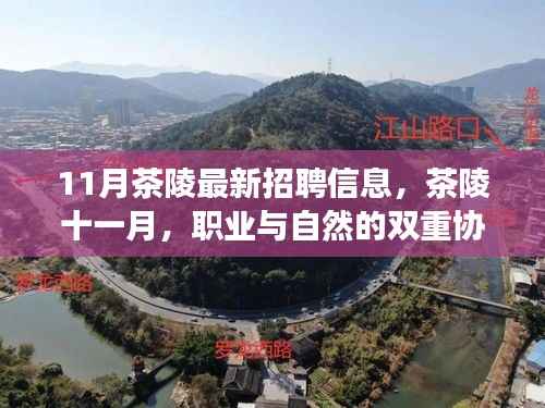 茶陵最新招聘启事,十一月职业与自然的和谐协奏曲,启程寻找内心宁静之旅