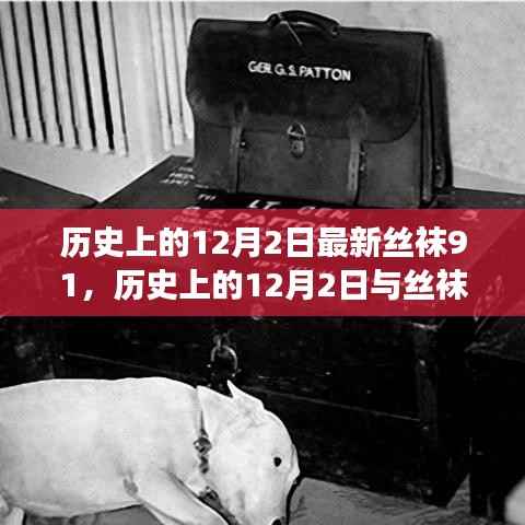 历史上的丝袜文化,跨越时空的探讨与12月2日的独特关联