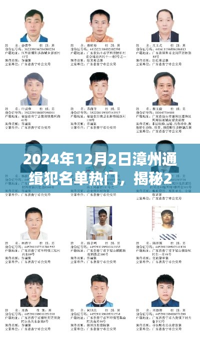 揭秘2024年漳州通缉犯名单,警惕身边的危险!
