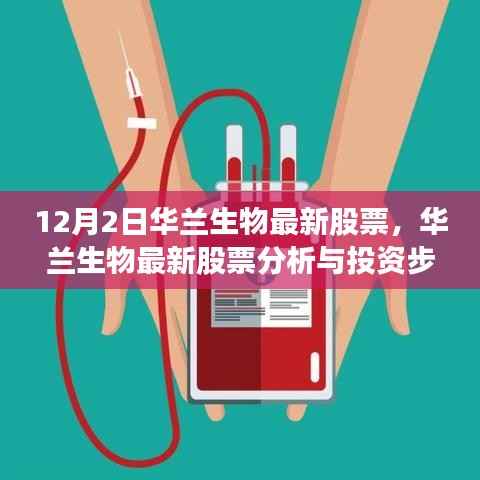 华兰生物最新股票分析与投资指南（适合初学者与进阶用户）