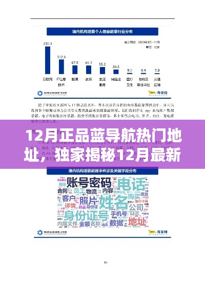 独家揭秘,12月最新正品蓝导航热门地址清单,不容错过!