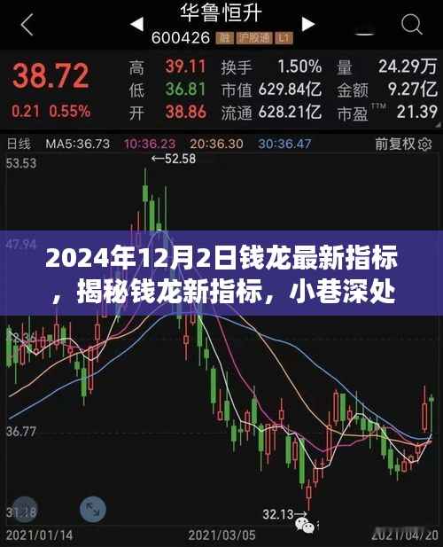 揭秘钱龙新指标,小巷深处的独特风味宝藏小店探秘指南(最新更新)