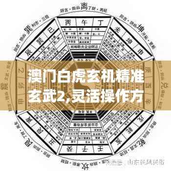 澳门白虎玄机精准玄武2,灵活操作方案设计_bundle78.813-9