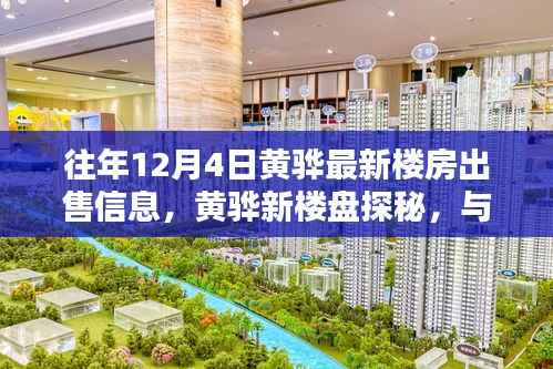 黄骅最新楼盘探秘,与自然美景共舞的心灵港湾,往年12月4日最新出售信息