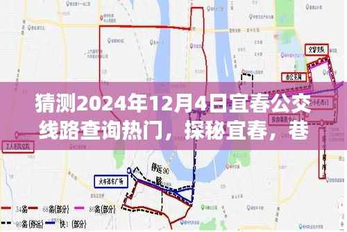 探秘宜春公交奇遇与小店惊喜,宜春公交线路查询热门预测(2024年12月4日)