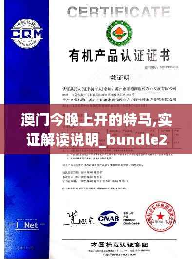 澳门今晚上开的特马,实证解读说明_bundle2.649