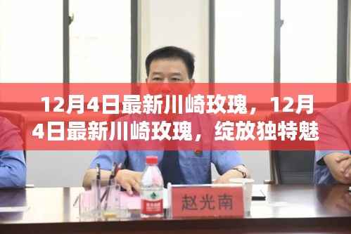 12月4日最新川崎玫瑰,独特魅力的艺术之花绽放