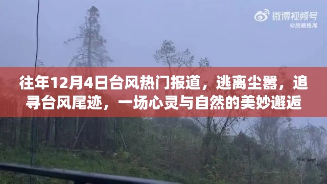 追寻台风尾迹,心灵与自然的美妙邂逅,历年台风热门报道回顾