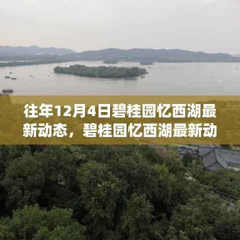 碧桂园忆西湖往年12月4日最新动态揭秘,精彩瞬间回顾