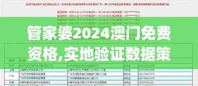管家婆2024澳门免费资格,实地验证数据策略_4K版10.379