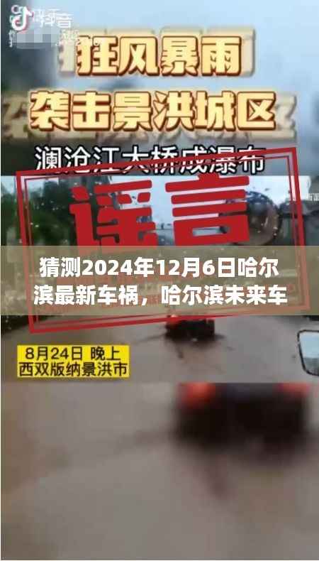 哈尔滨未来车祸实录,揭秘2024年12月6日意外现场