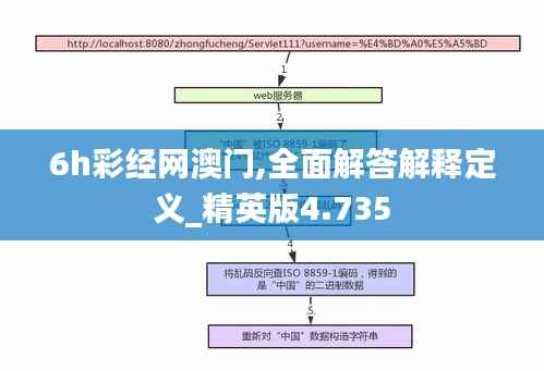6h彩经网澳门,全面解答解释定义_精英版4.735