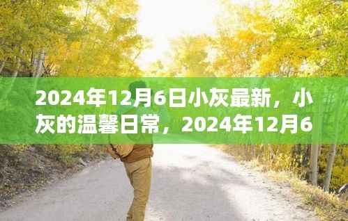 小灰的温馨日常,2024年12月6日的快乐时光记录