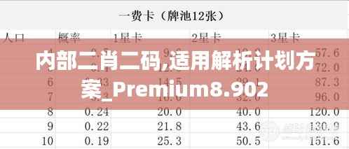 内部二肖二码,适用解析计划方案_Premium8.902