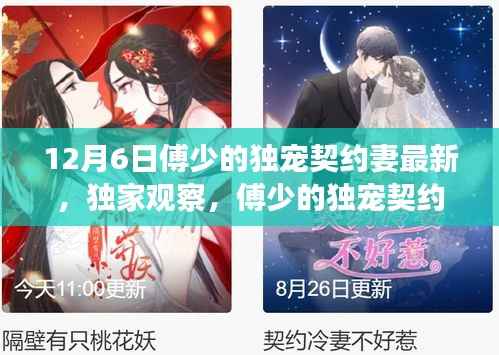 傅少的独宠契约妻最新动态深度解析,独家观察与最新更新