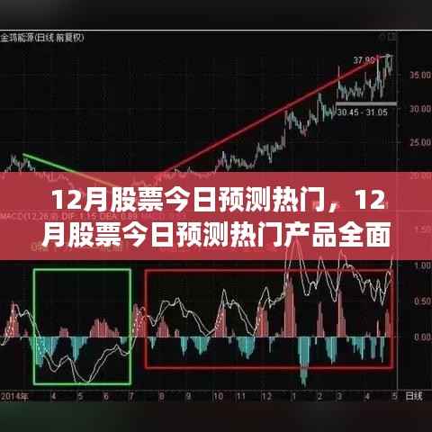 12月热门股票预测,全面评测与介绍
