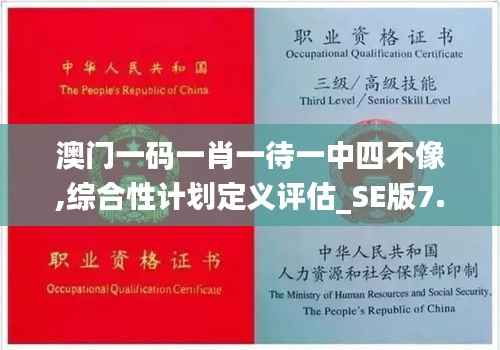 澳门一码一肖一待一中四不像,综合性计划定义评估_SE版7.906