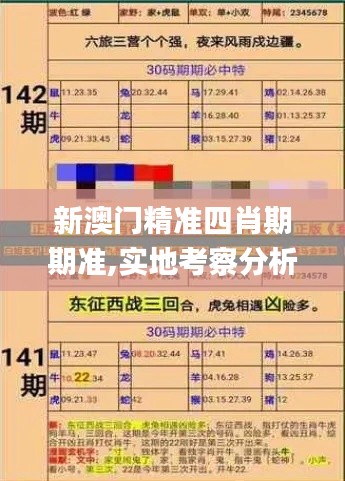 新澳门精准四肖期期准,实地考察分析_钱包版4.338