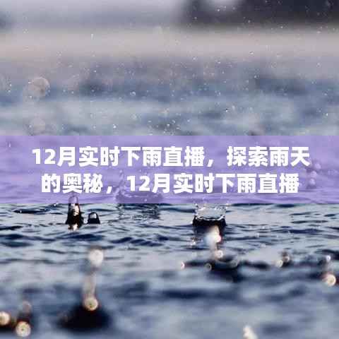 探索雨天奥秘，12月实时下雨直播