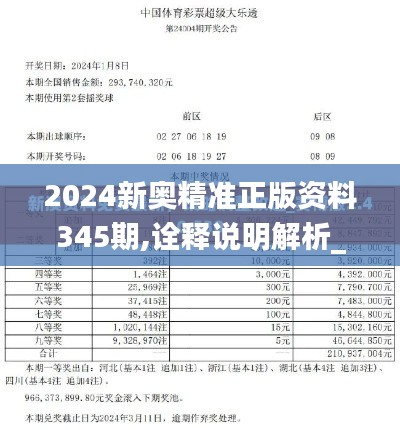 2024新奥精准正版资料345期,诠释说明解析_P版3.232
