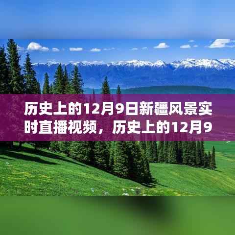 历史上的12月9日新疆风景实时直播全景攻略,从入门到进阶的观看体验
