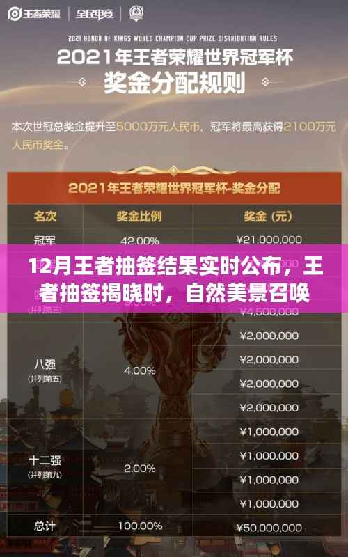 王者抽签揭晓与美景相伴,寻找内心平静的奇妙之旅