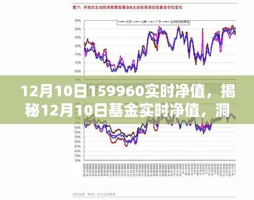 揭秘金融奥秘,12月10日基金实时净值解析与洞察(净值,159960)