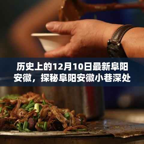 探秘安徽阜阳小巷深处的独特风味,历史特色小店奇遇记