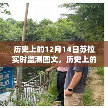 历史上的12月14日苏拉实时监测图文深度剖析与回顾