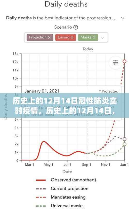历史上的12月14日冠性肺炎实时疫情深度解析与要点详解