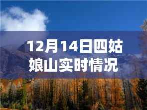 雪域秘境四姑娘山,探寻内心宁静与喜悦的实时体验之旅