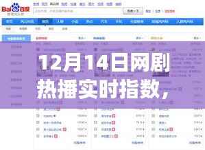 12月14日网剧热播背后的励志故事与成长力量,荧屏之光实时指数揭秘