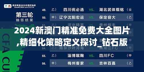 2024新澳门精准免费大全图片,精细化策略定义探讨_钻石版5.263