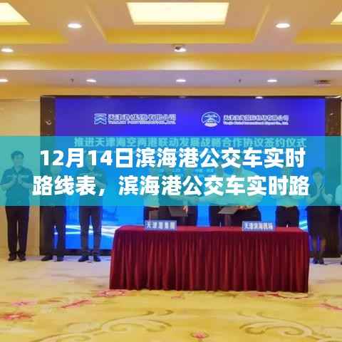 滨海港公交车实时路线表详解,12月14日运营概览