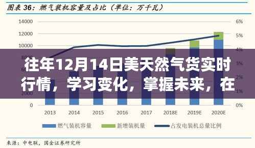 往年12月14日美国天然气实时行情解析，洞悉变化，把握未来，找寻自信与成就之路