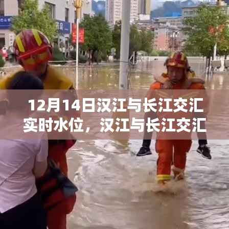 汉江与长江交汇实时水位,多方观点深度解读及实时更新报告