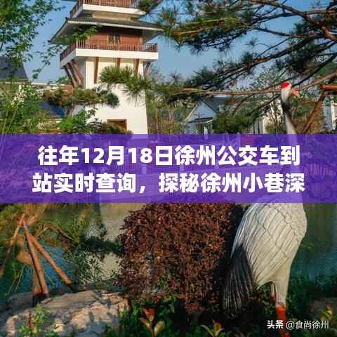 探秘徐州公交实时查询宝藏店,遇见时光公交缘,深度解析公交到站时间