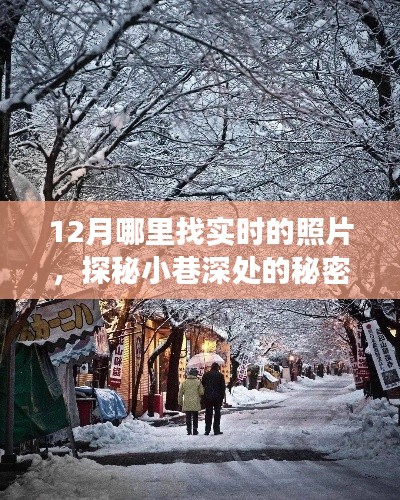 探秘十二月小巷深处的艺术角落,实时照片探寻之旅