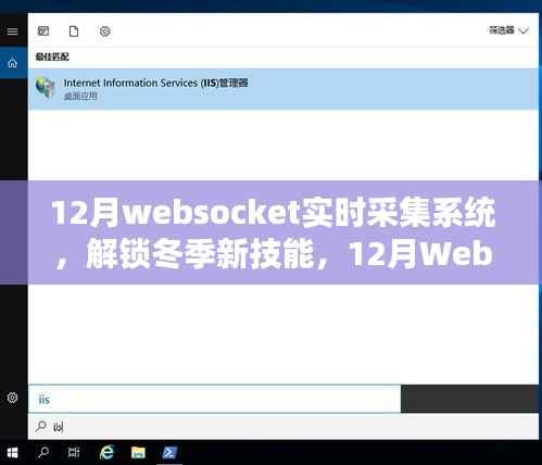 冬季新技能,深度解析12月WebSocket实时采集系统