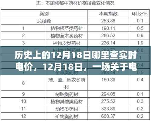 12月18日电价探秘之旅,实时查询与历史洞察