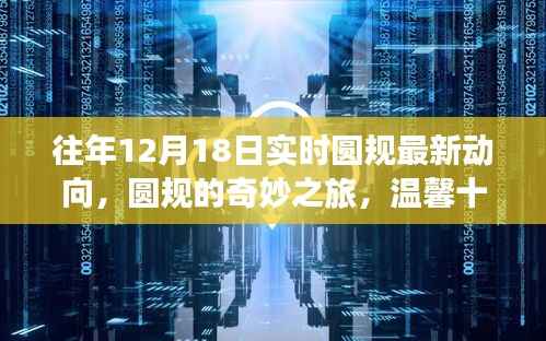 往年圆规最新动态揭秘,奇妙之旅与温馨日常故事