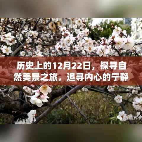 探寻自然美景之旅,历史上的重要日子与内心的宁静与平和