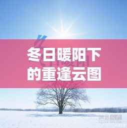 冬日暖阳下的重逢云图,友情与陪伴的温馨篇章