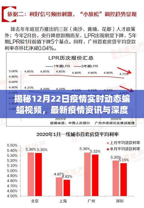 揭秘最新疫情资讯,蝙蝠视频实时动态报道与深度解读(12月22日)