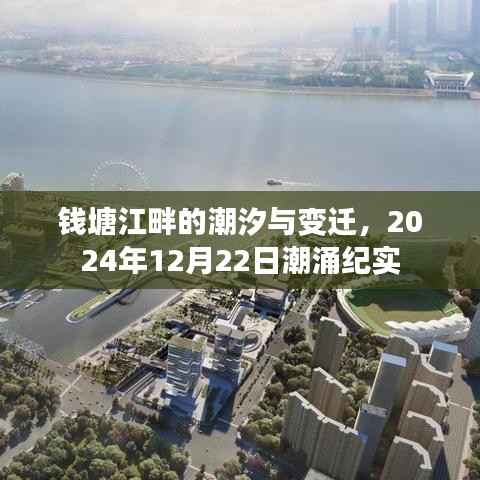 钱塘江畔潮汐变迁纪实,潮涌的见证者,2024年12月22日纪实